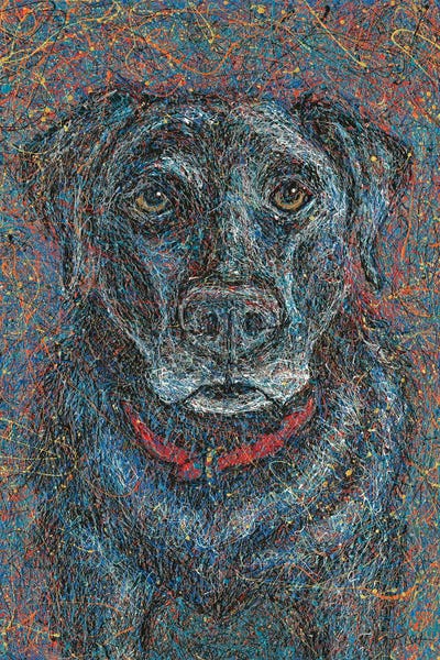 Labrador Retrievers: Black Lab Drip by Gretchen KISH Serrano