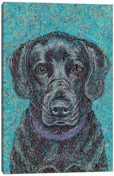 Black Lab II Drip Canvas Art Print - Labrador Retriever Art