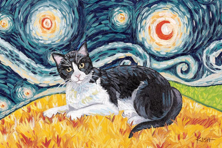 Tuxedo Cat On A Starry Night