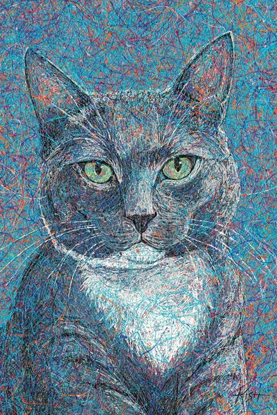 Kitty Cat Drip by Gretchen KISH Serrano canvas print
