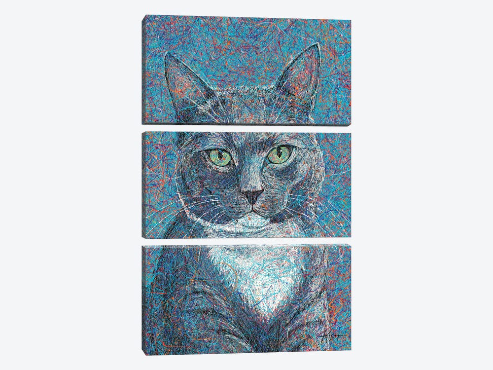Kitty Cat Drip by Gretchen Kish Serrano 3-piece Canvas Wall Art