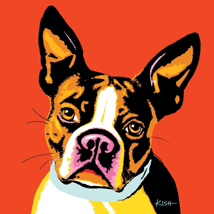 Boston Terrier Orange Woofhol