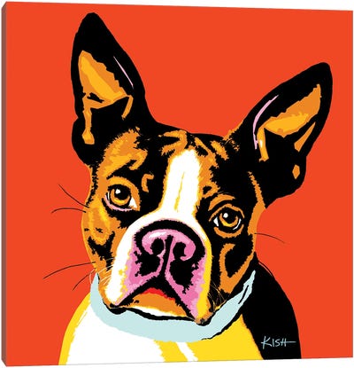 Boston Terrier Orange Woofhol Canvas Art Print - Gretchen Kish Serrano