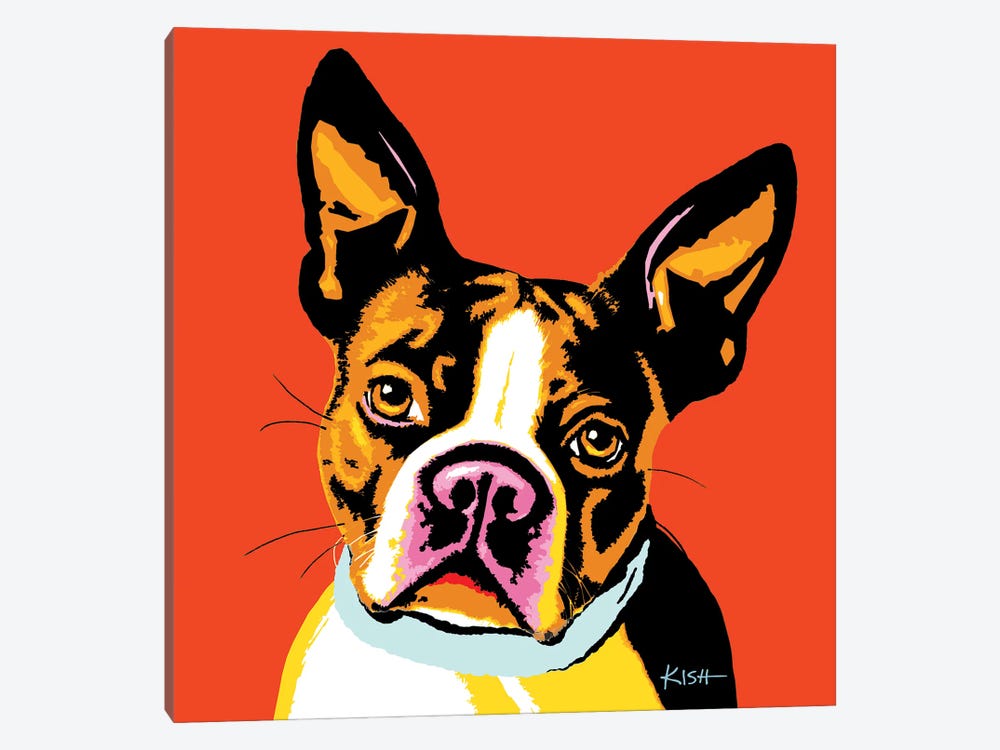 Boston Terrier Orange Woofhol by Gretchen Kish Serrano 1-piece Canvas Art Print