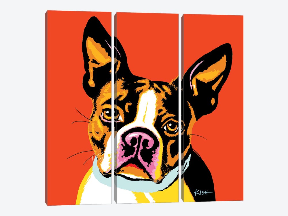 Boston Terrier Orange Woofhol by Gretchen Kish Serrano 3-piece Art Print
