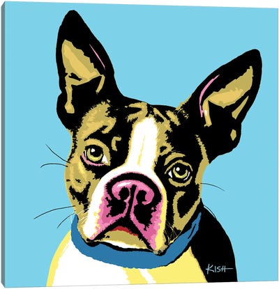 Boston Terrier Blue Woofhol Canvas Art Print - Boston Terrier Art