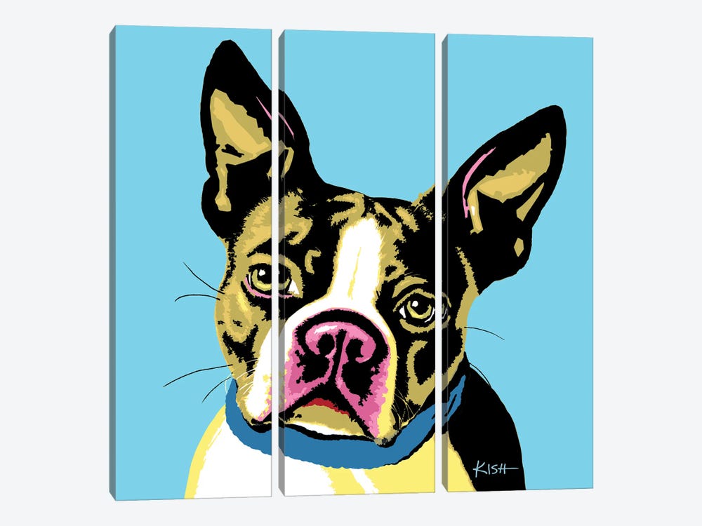 Boston Terrier Blue Woofhol 3-piece Canvas Artwork