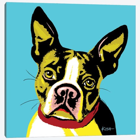 Boston Terrier Teal Woofhol Canvas Print #GKS312} by Gretchen Kish Serrano Art Print