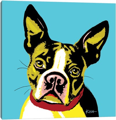 Boston Terrier Teal Woofhol Canvas Art Print - Gretchen Kish Serrano