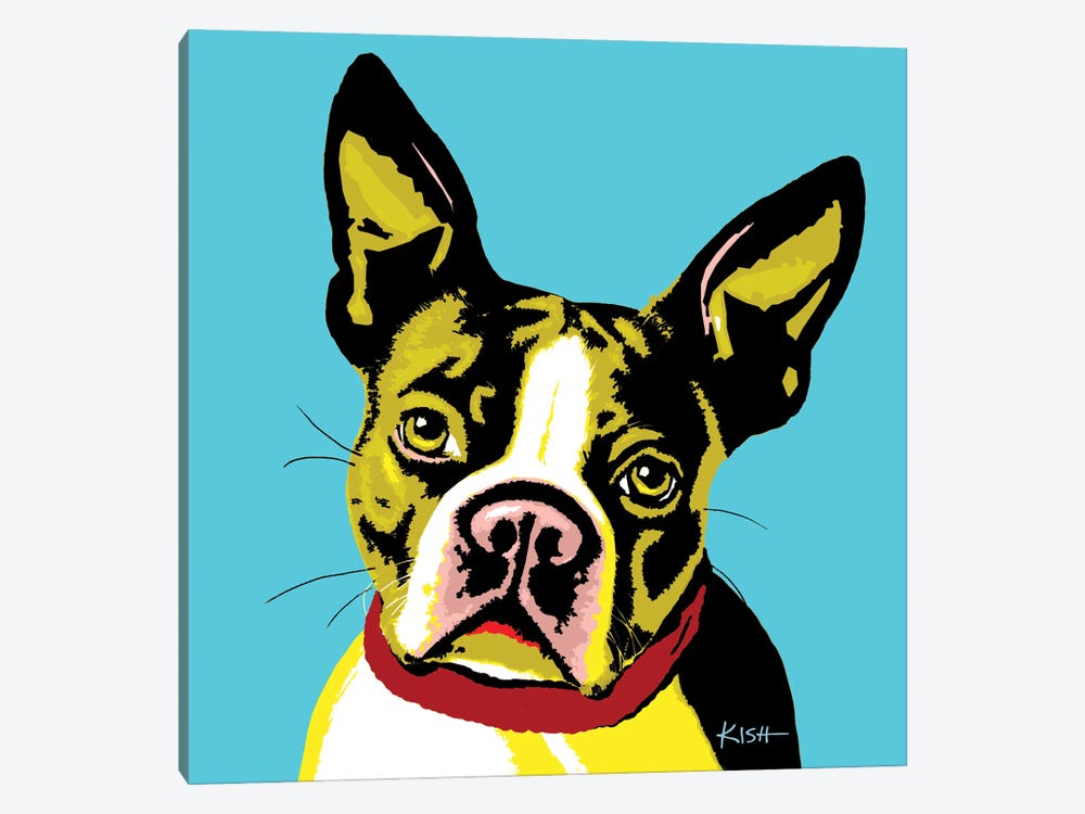 Boston Terrier Teal Woofhol by Gretchen Kish Serrano 1-piece Art Print