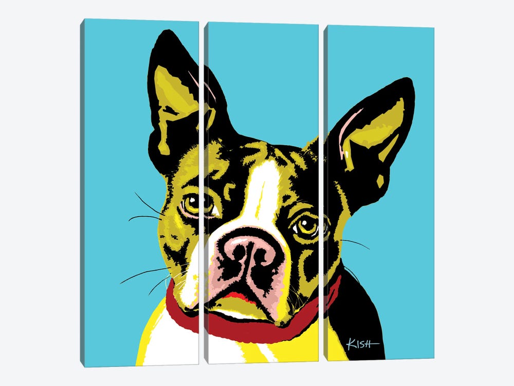 Boston Terrier Teal Woofhol by Gretchen Kish Serrano 3-piece Art Print