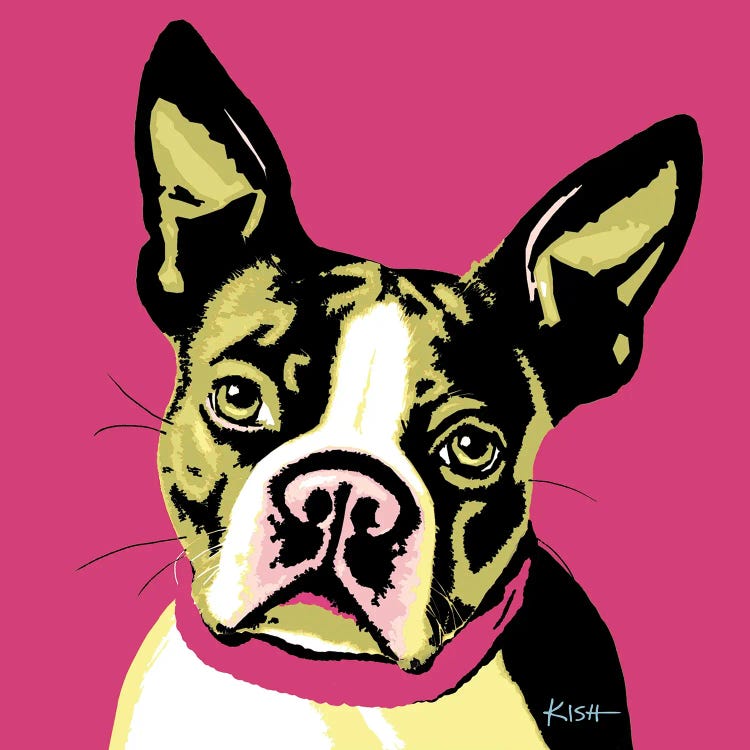 Boston Terrier Pink Woofhol