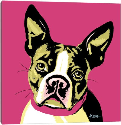 Boston Terrier Pink Woofhol Canvas Art Print - Gretchen Kish Serrano