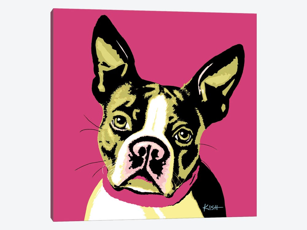 Boston Terrier Pink Woofhol by Gretchen Kish Serrano 1-piece Canvas Artwork