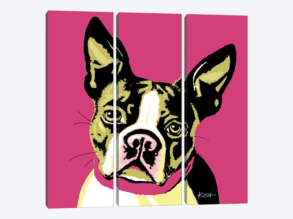 Boston Terrier Pink Woofhol by Gretchen Kish Serrano 3-piece Canvas Artwork
