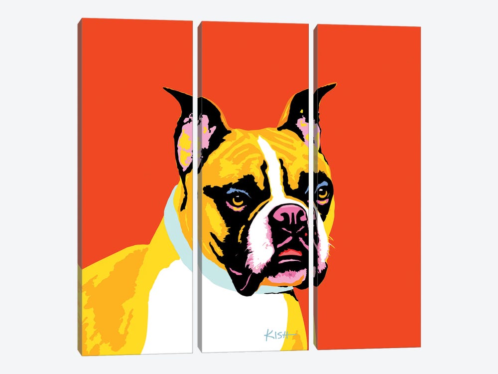 Boxer Orange Woofhol by Gretchen Kish Serrano 3-piece Art Print