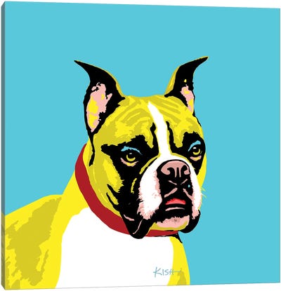 Boxer Teal Woofhol Canvas Art Print - Boxer Art