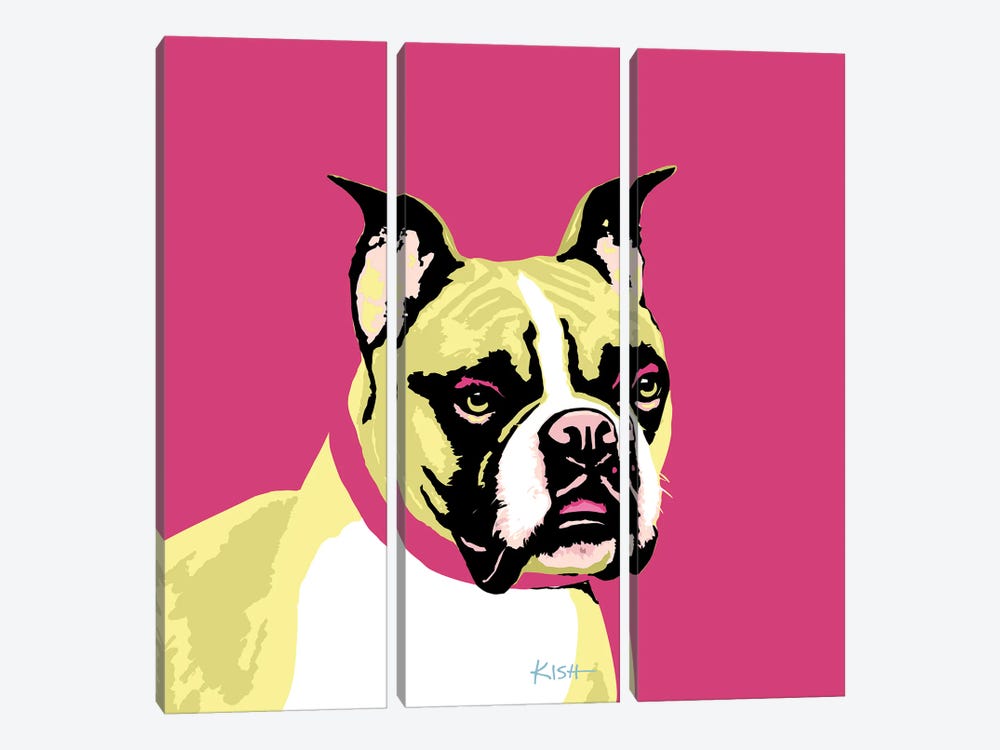Boxer Pink Woofhol by Gretchen Kish Serrano 3-piece Canvas Artwork