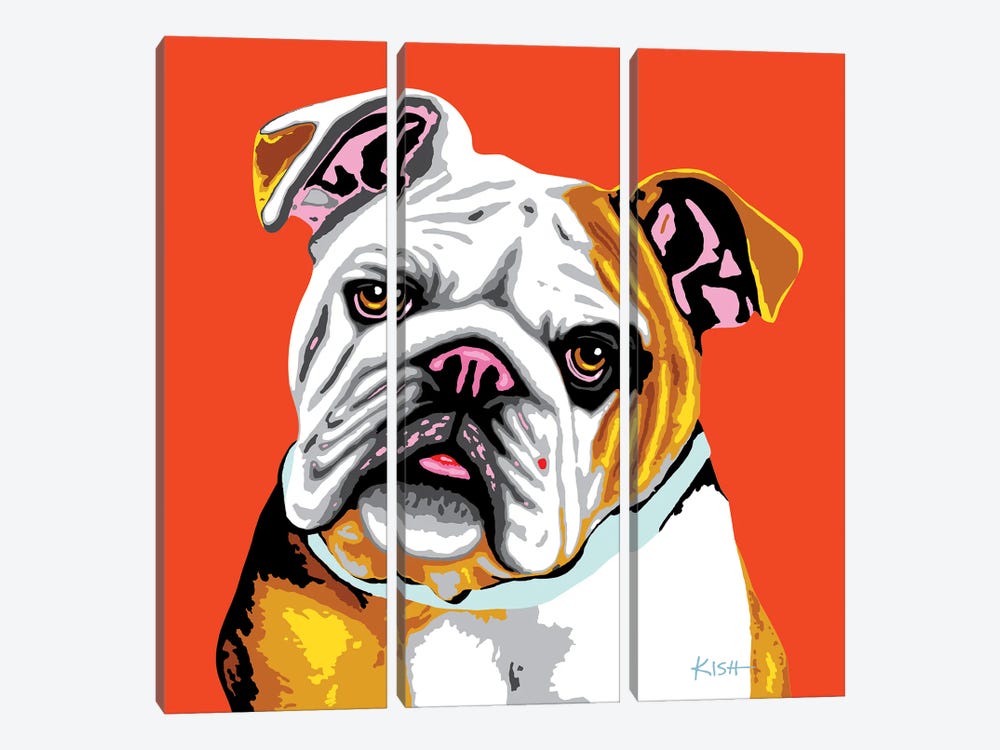 Bulldog Orange Woofhol by Gretchen Kish Serrano 3-piece Canvas Print
