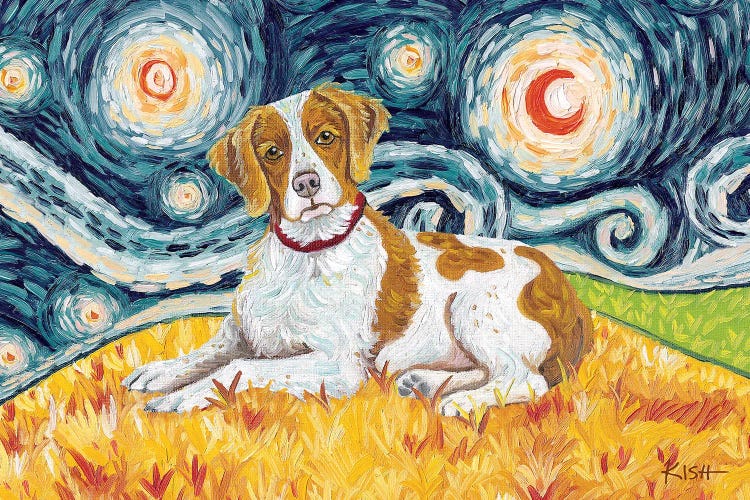 Brittany On A Starry Night