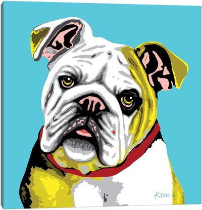 Bulldog Teal Woofhol Canvas Art Print - Bulldog Art