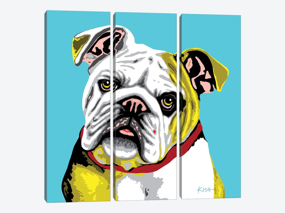 Bulldog Teal Woofhol by Gretchen Kish Serrano 3-piece Canvas Wall Art