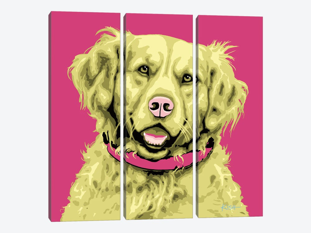 Golden Retriever Pink Woofhol by Gretchen Kish Serrano 3-piece Canvas Artwork