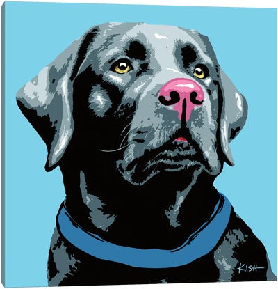 Black Lab Blue Woofhol Canvas Art Print - Labrador Retriever Art