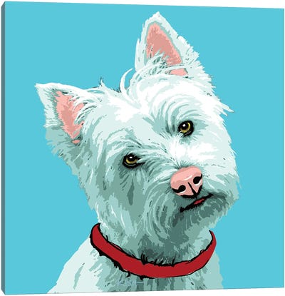 Westie Teal Woofhol Canvas Art Print - West Highland White Terrier Art