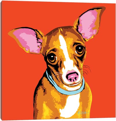 Chihuahua Orange Woofhol Canvas Art Print - Chihuahua Art