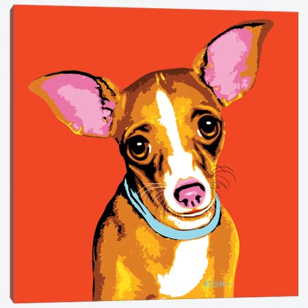 Chihuahua Orange Woofhol Canvas Print #GKS350} by Gretchen Kish Serrano Canvas Print