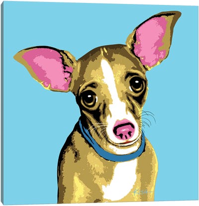 Chihuahua Blue Woofhol Canvas Art Print - Gretchen Kish Serrano
