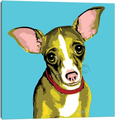 Chihuahua Teal Woofhol Canvas Art Print - Chihuahua Art