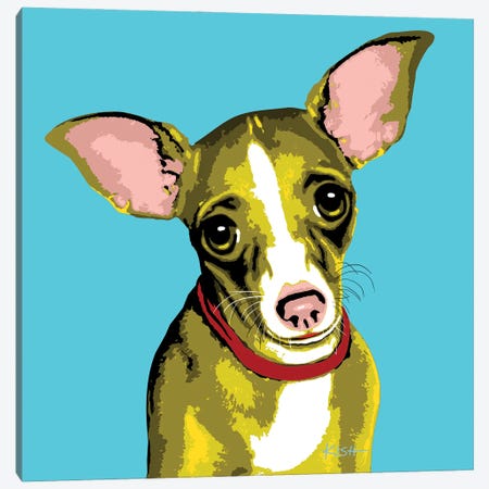 Chihuahua Teal Woofhol Canvas Print #GKS352} by Gretchen Kish Serrano Canvas Art Print