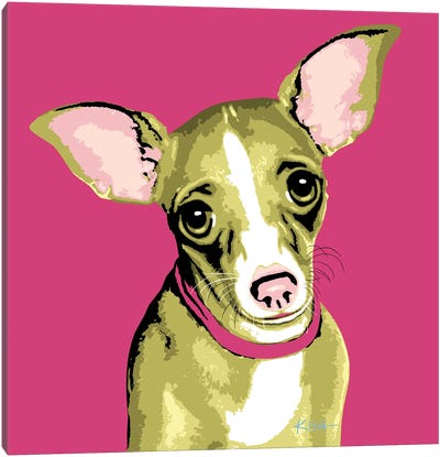 Chihuahua Pink Woofhol Canvas Art Print - Chihuahua Art