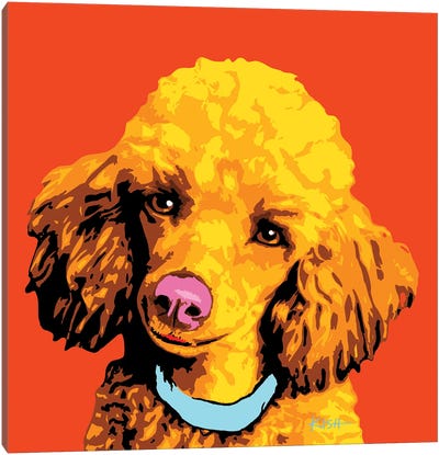 Poodle Orange Woofhol Canvas Art Print - Gretchen Kish Serrano