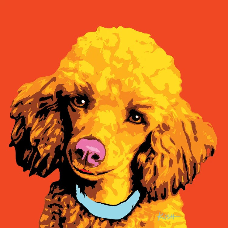 Poodle Orange Woofhol