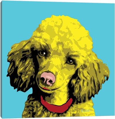 Poodle Teal Woofhol Canvas Art Print - Gretchen Kish Serrano
