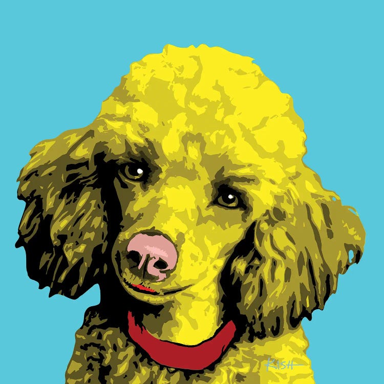 Poodle Teal Woofhol