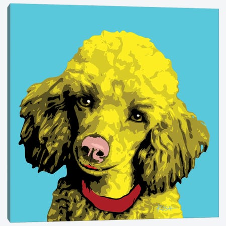 Poodle Teal Woofhol Canvas Print #GKS356} by Gretchen Kish Serrano Canvas Art