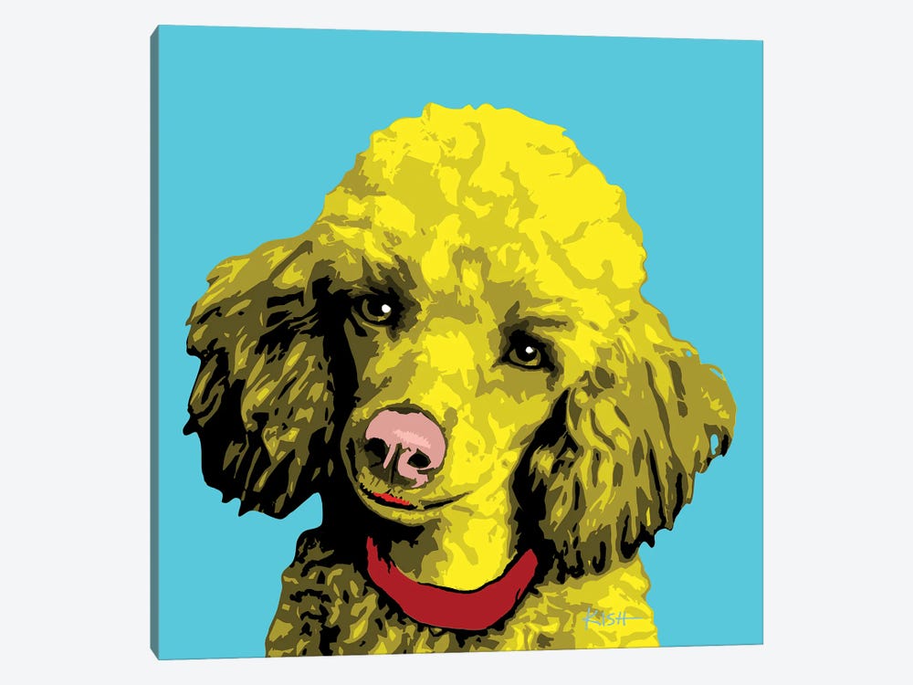 Poodle Teal Woofhol by Gretchen Kish Serrano 1-piece Canvas Print