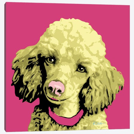 Poodle Pink Woofhol Canvas Print #GKS357} by Gretchen Kish Serrano Canvas Wall Art