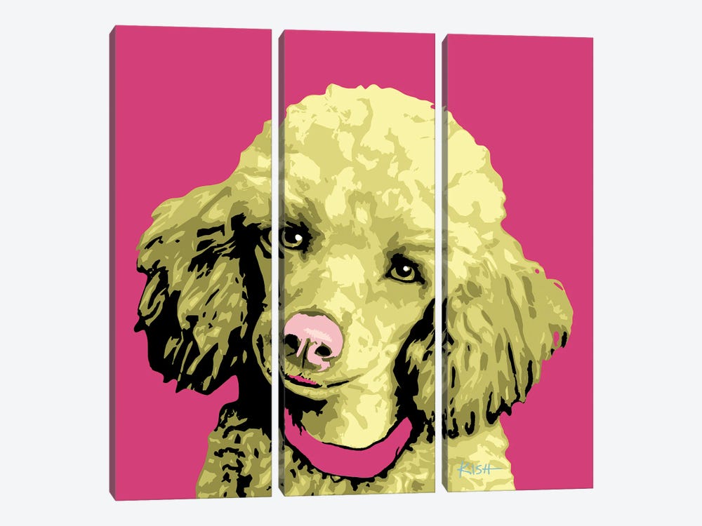 Poodle Pink Woofhol by Gretchen Kish Serrano 3-piece Canvas Wall Art