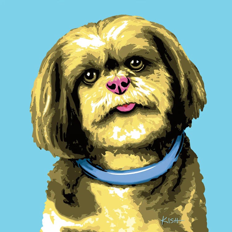 Shih Tzu Blue Woofhol