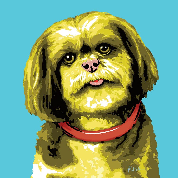 Shih Tzu Teal Woofhol