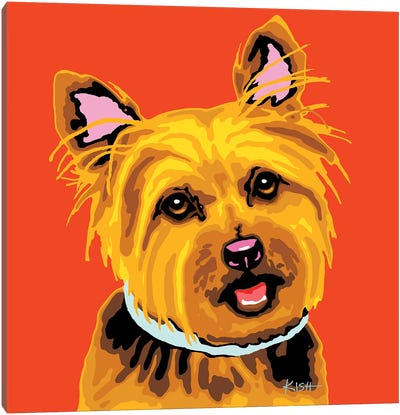 Yorkie Orange Woofhol Canvas Art Print - Yorkshire Terrier Art
