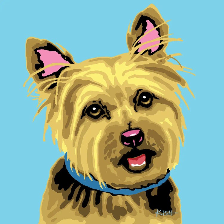 Yorkie Blue Woofhol