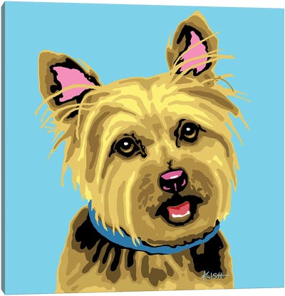 Yorkie Blue Woofhol Canvas Art Print - Yorkshire Terrier Art