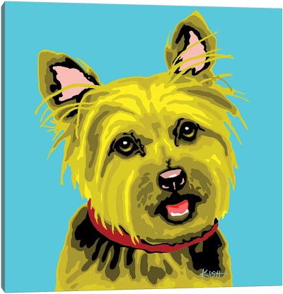 Yorkie Teal Woofhol Canvas Art Print - Yorkshire Terrier Art