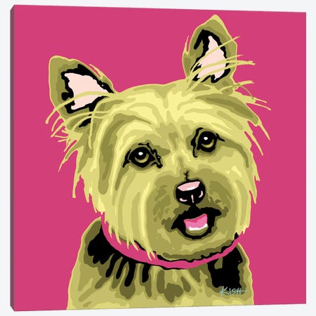 Yorkie Pink Woofhol Canvas Print #GKS365} by Gretchen Kish Serrano Canvas Art Print